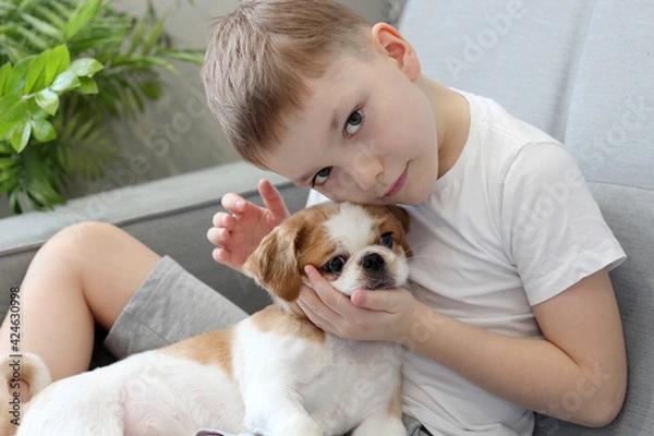 Fototapeta Boy Cuddling with Small Dog on Couch