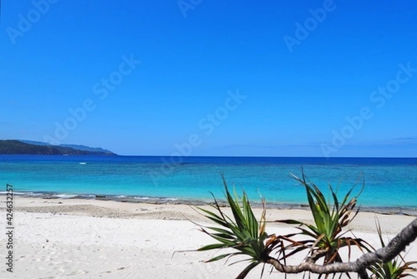 Obraz 奄美大島の大浜海岸