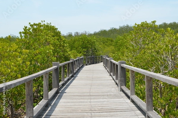 Fototapeta Boardwalk to the ocean