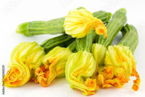 Obraz zucchini flowers