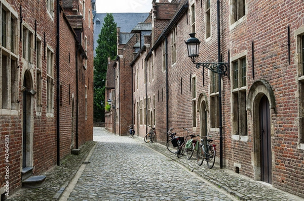 Obraz Begijnhof, Leuven