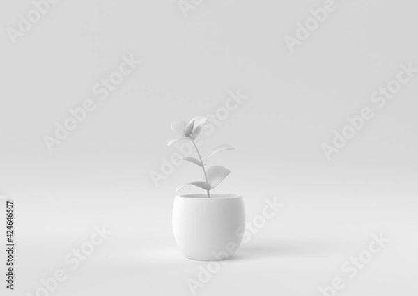Obraz White Tree pot in white background. minimal concept idea creative. monochrome. 3D render.