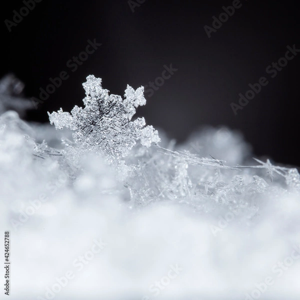 Fototapeta snapshot of a small snowflake taken during a snowfall
