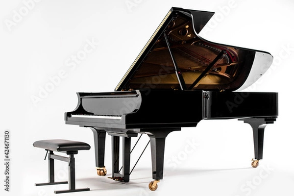 Obraz Pianoforte a coda 