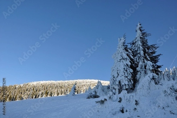 Obraz Winter am Ötscher