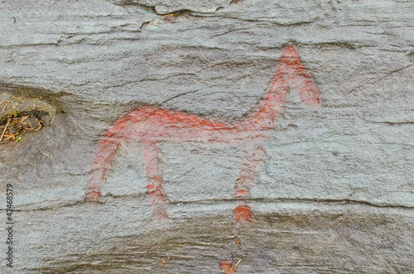 Fototapeta Petroglyph from Scandinavia