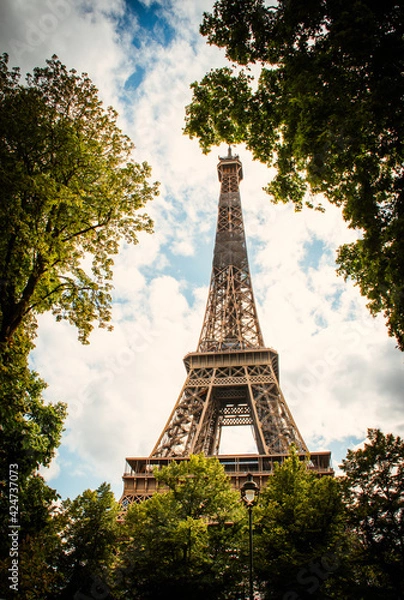 Fototapeta Eiffel Tower Paris, France.