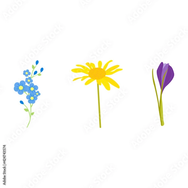 Obraz Wild flowers seamless background vector illustration. Wrapping paper art. Floral backdrop. Summer flower. Fabric texture print. Design element.