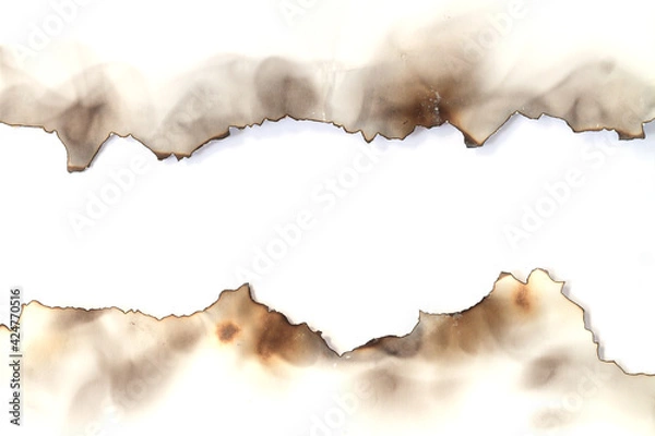 Obraz Burnt old torn paper on white page background