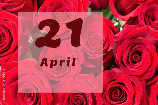 Fototapeta April 21th. Day of 21 month, calendar date. Natural background of red roses. A bouquet of dark red roses