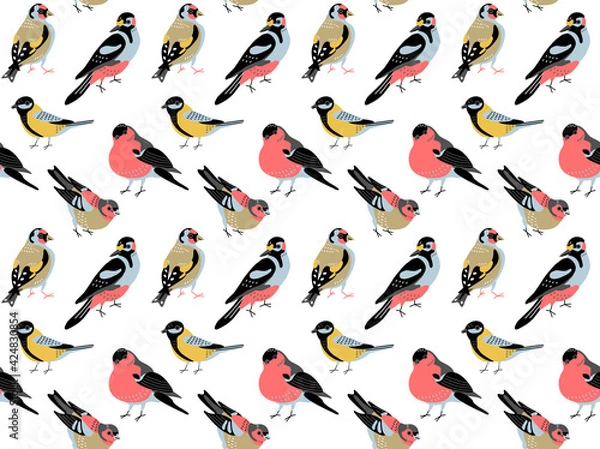 Obraz seamless pattern with birds