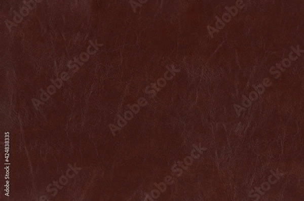 Obraz lether background texture