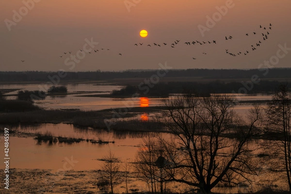 Obraz sunset over lake