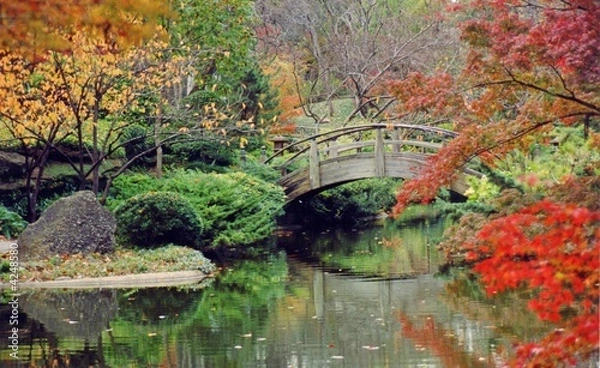 Obraz Japanese Garden