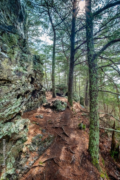 Fototapeta The Pinnacle Trail, Crowder's Mountain, North Carolina