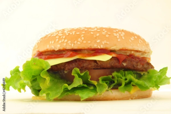 Obraz Huge delicious hamburger