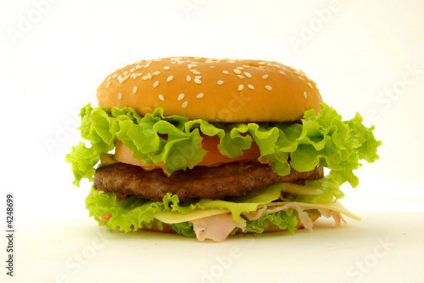 Obraz Delicious hamburger isolated on withe