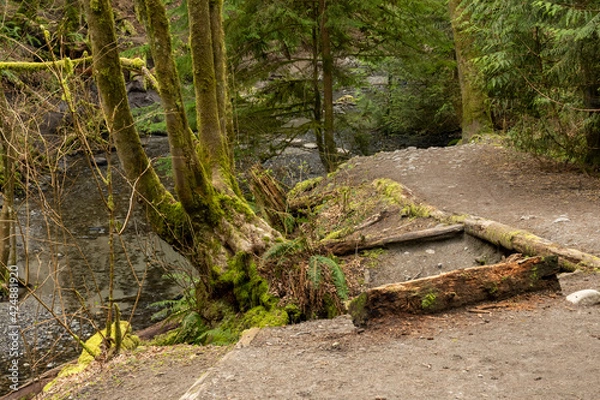 Fototapeta End of constructed trail above body of water