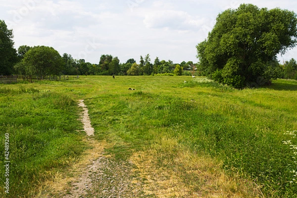 Obraz Сельский пейзаж
