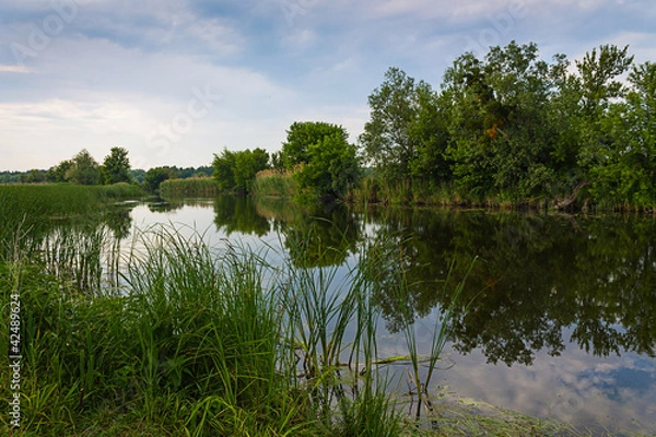 Obraz Река вечером