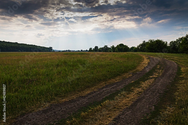Obraz Полевая дорога