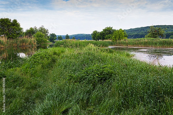Obraz Остров на реке