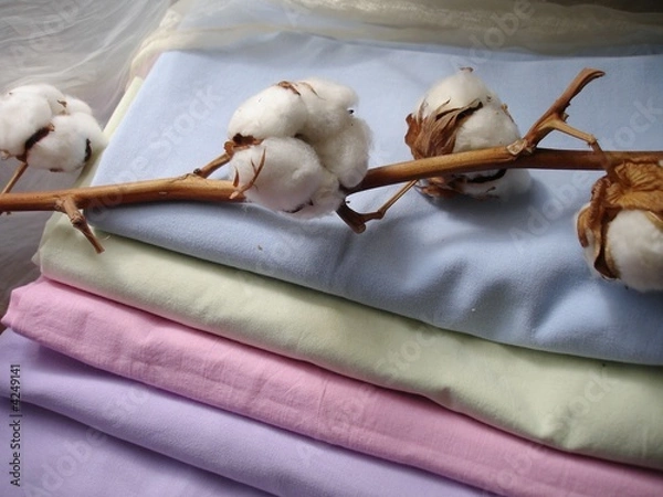 Obraz DOUCEUR ET CONFORT