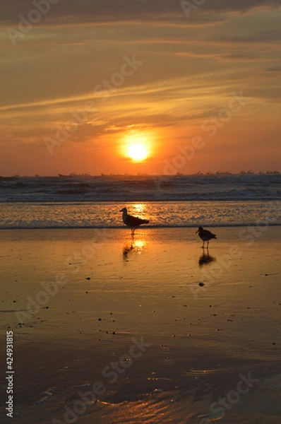 Obraz sunset on the beach