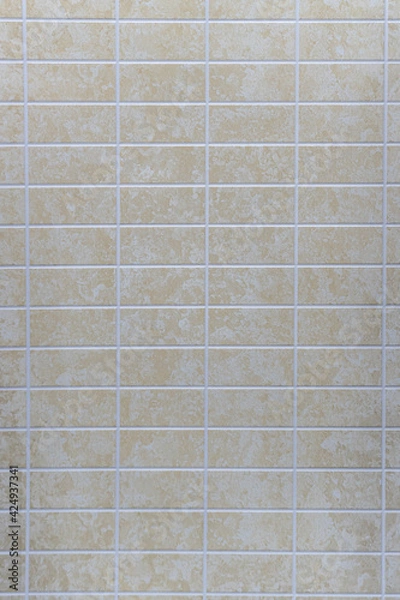 Obraz Background, Wall Coating Texture, House and Interior