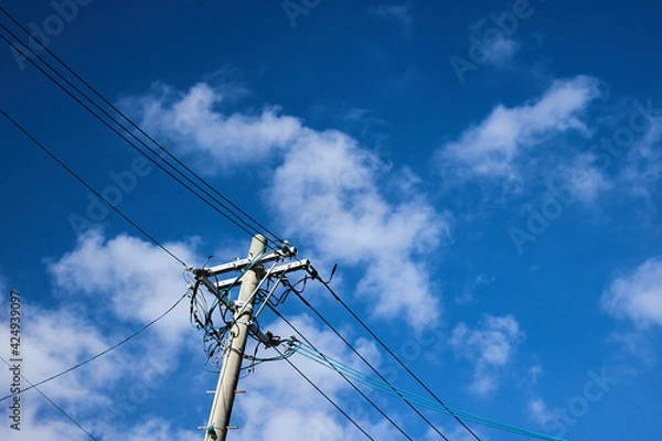 Fototapeta 真っ青な青空と電信柱