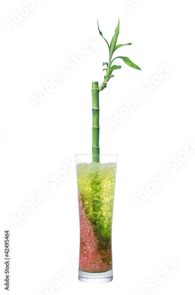 Obraz Glass jar with bamboo