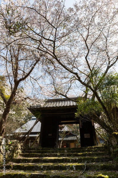 Fototapeta 黒田家祈祷寺日照院　福岡県朝倉市秋月