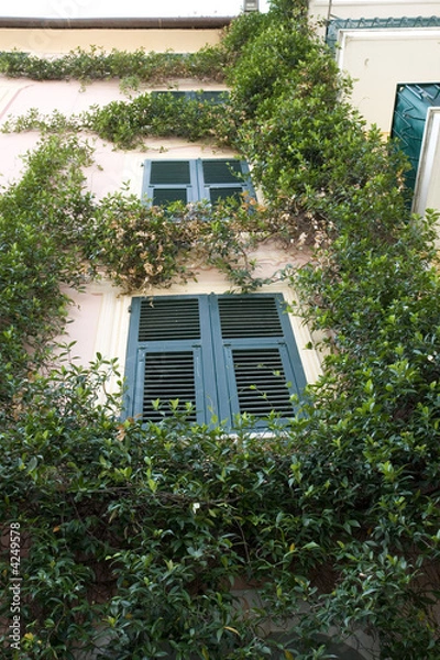 Obraz Summer house windows