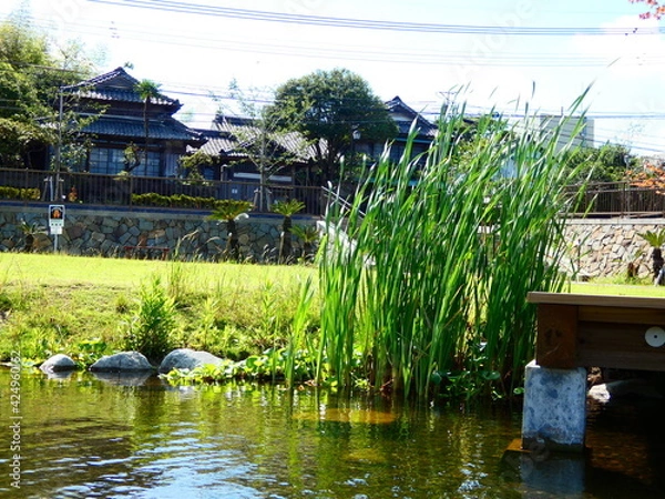 Obraz 庭園