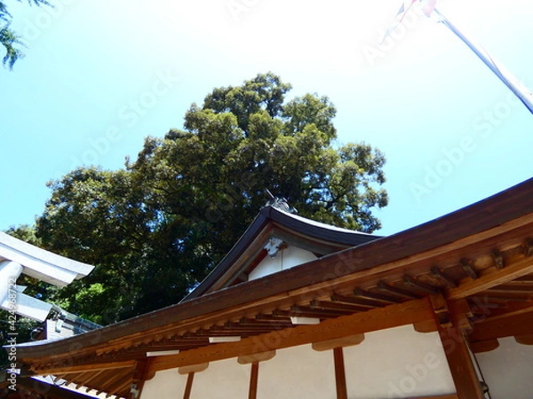 Obraz 神社