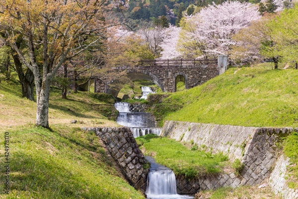 Obraz 岐阜県揖斐郡池田町　霞間ヶ渓の桜2