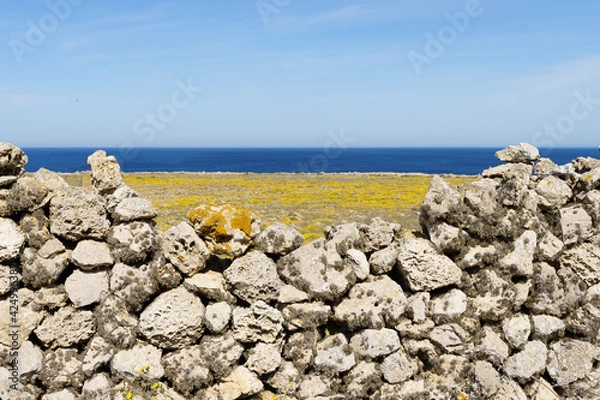 Obraz View of the west coast of Menorca with a typical wall made of stones in a sunny day with blue sky (Balearic Islands, Spain)