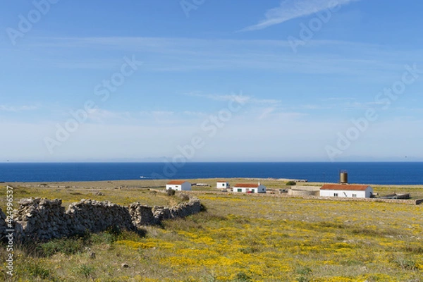 Fototapeta Panoramic view of the west coast of Menorca in a sunny day with blue sky (Balearic Islands, Spain)