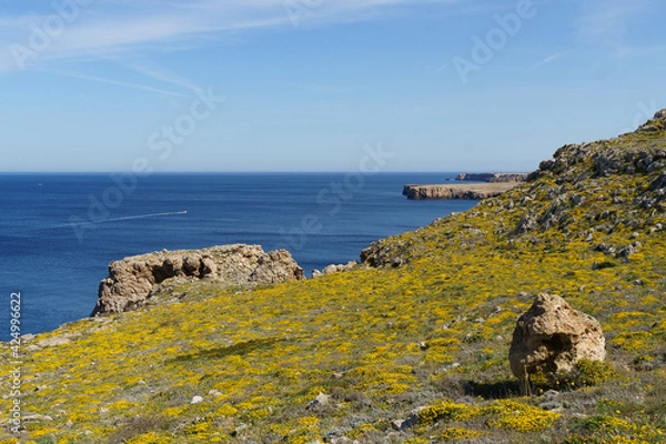 Fototapeta Panoramic view of the west coast of Menorca in a sunny day with blue sky (Balearic Islands, Spain)