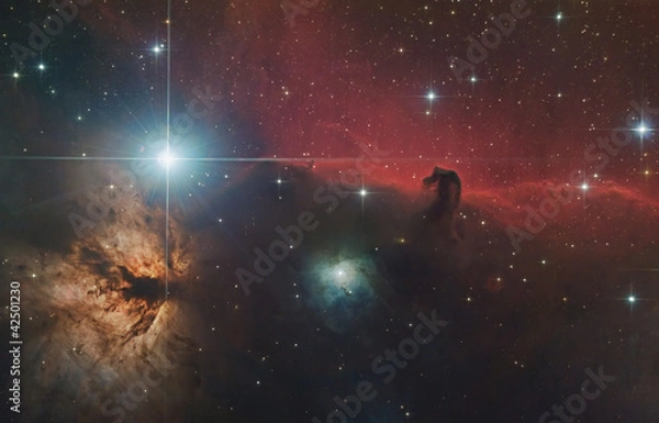 Obraz Horsehead Nebula
