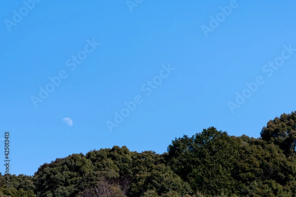 Fototapeta 昼間の月