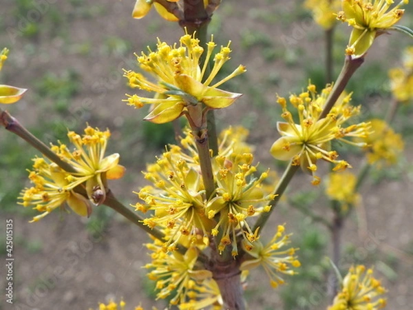 Obraz OLYMPUS DIGITAL CAMERA