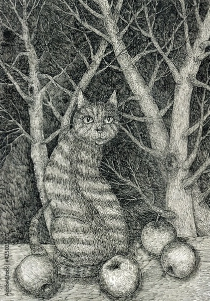 Obraz Cat and apples. Ink drawing. Coloring. Cute illustration for the decor and design of posters, postcards, prints, stickers, invitations, textiles and stationery.