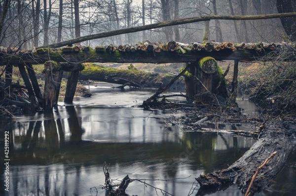Obraz Closed old bridge across the river.
