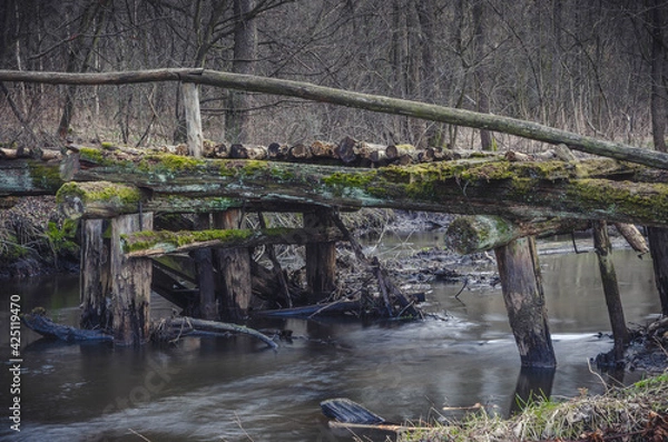 Obraz Closed old bridge across the river.