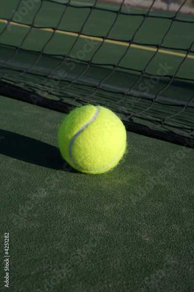 Obraz Tennis Ball and Net