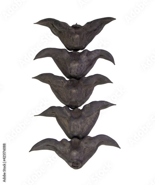 Fototapeta Chestnut Buffalo isolated