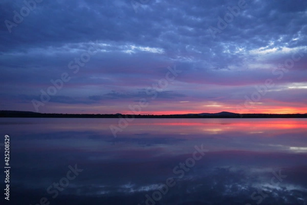 Obraz パンタナール湿原