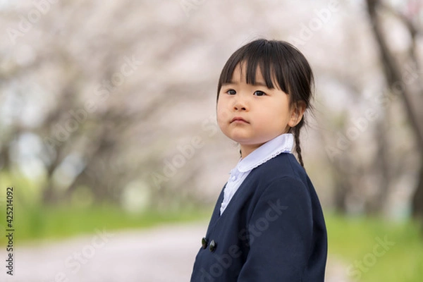 Fototapeta 満開に咲いた桜の並木と幼稚園の制服を着た女の子