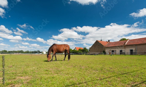 Fototapeta podwórko gospodarstwa